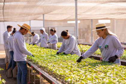 Grupo de estudantes em visita educativa ao viveiro florestal da Black Jaguar no Sul do Pará, com atividade de plantio de mudas nativas.