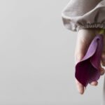 Ministros analisam ação sobre aborto legal e atuação de profissionais da saúde.