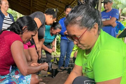 Mulheres ribeirinhas em capacitação