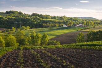 Produtor rural em lavoura mecanizada representa avanço do crédito ao agronegócio na safra 2025/2026.