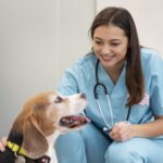 Estudantes e profissionais participam de simpósio de medicina veterinária com palestras e atividades técnicas