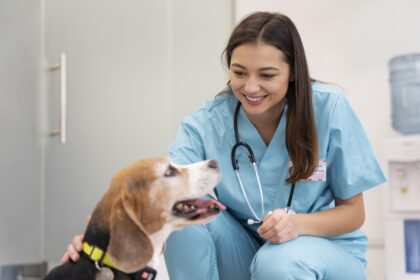 Estudantes e profissionais participam de simpósio de medicina veterinária com palestras e atividades técnicas