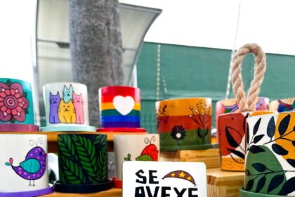 Vasos artesanais coloridos com pinturas decorativas e pequenas plantas expostos em feira de artesanato e jardinagem em Fortaleza.